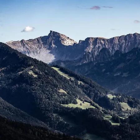 Vorsaesshuette Metzler *
