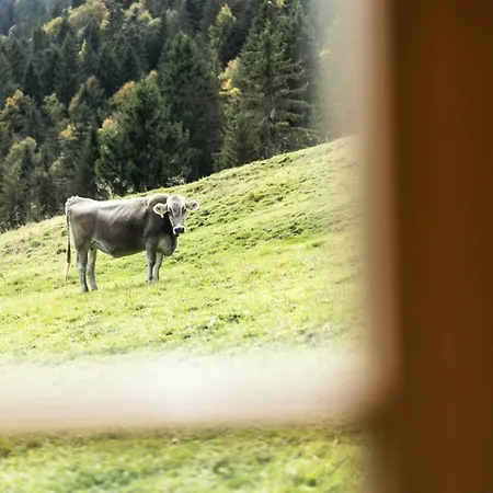 Vorsaesshuette Metzler Chalet